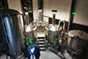 Agrometal fábrica cervecera automática, cervecería artesanal en Francia - Ales, nombre de la cerveza Meduz, válvulas de iluminación verde.